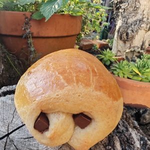 petite brioche comme une chocolatine